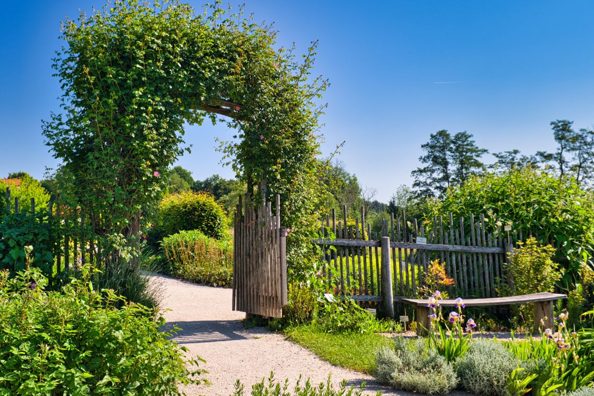 Schöner Garten